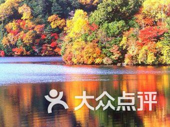 “扫黄”or“剿匪”