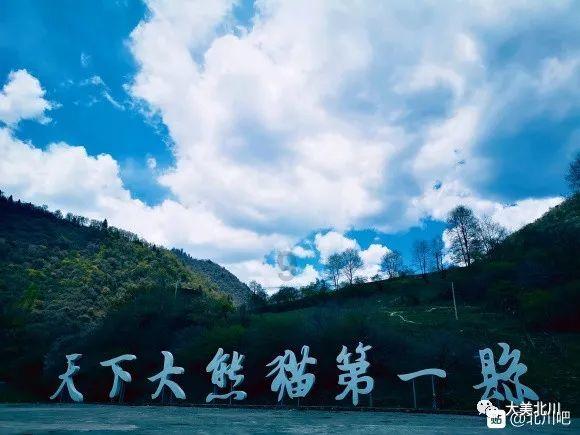 从银行辞职后我成了专职网络作家