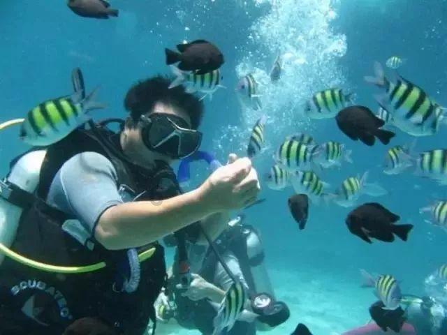 强化社会救助监督 助力兜牢民生底线