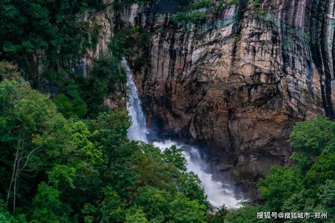 安全的“感冒药”,为什么会造成肝衰竭,合理用药很重要