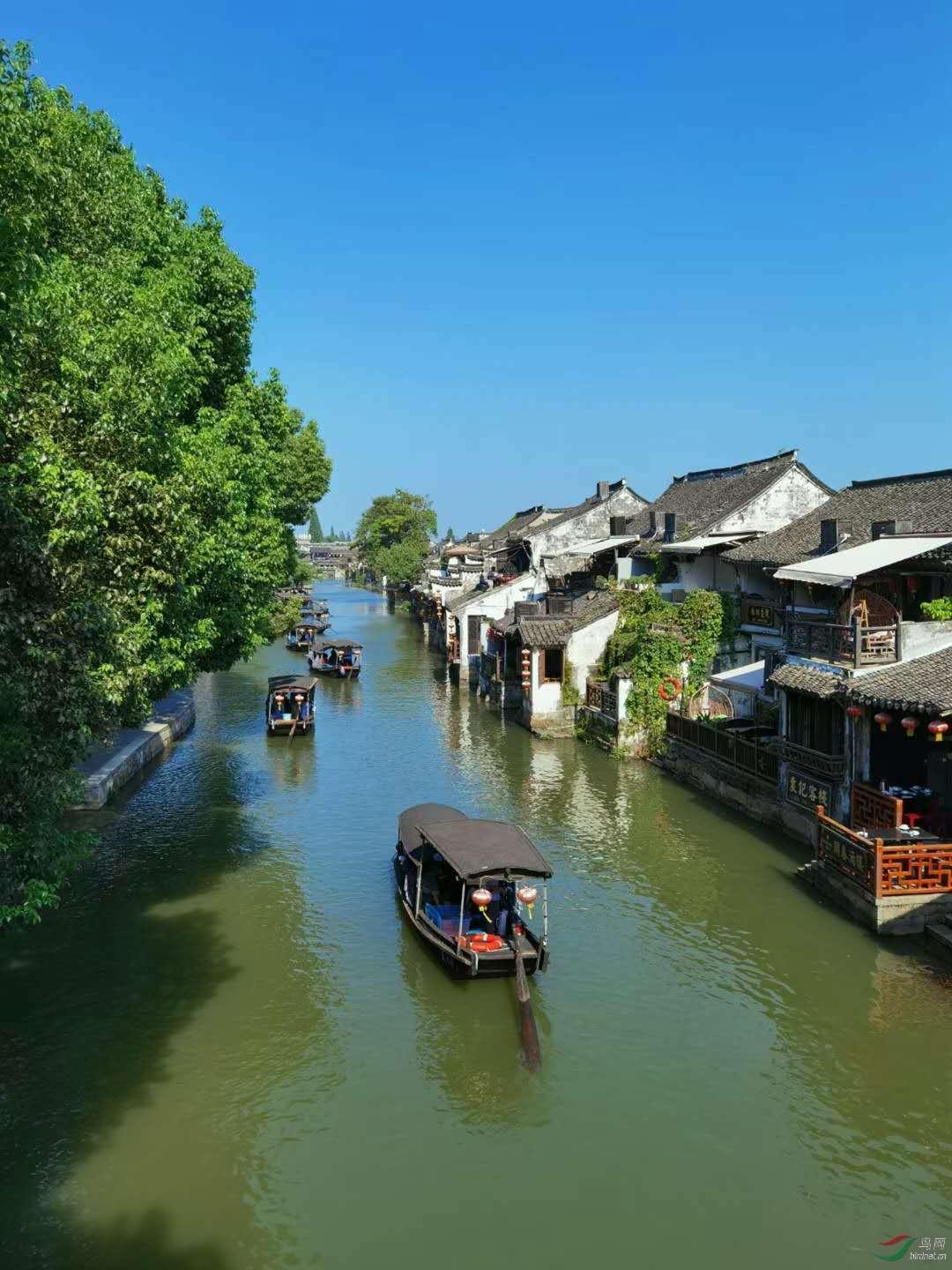 周星驰跨界拍短剧:易小星监制一线女星参演